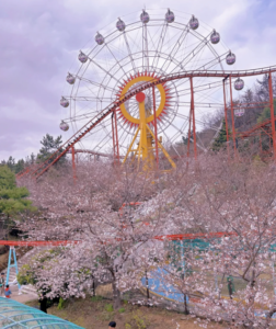 金海伽倻主題公園