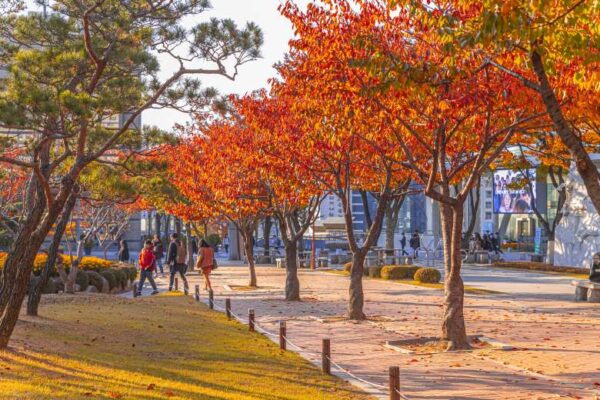 首爾大公園