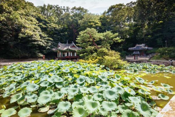 首爾植物園