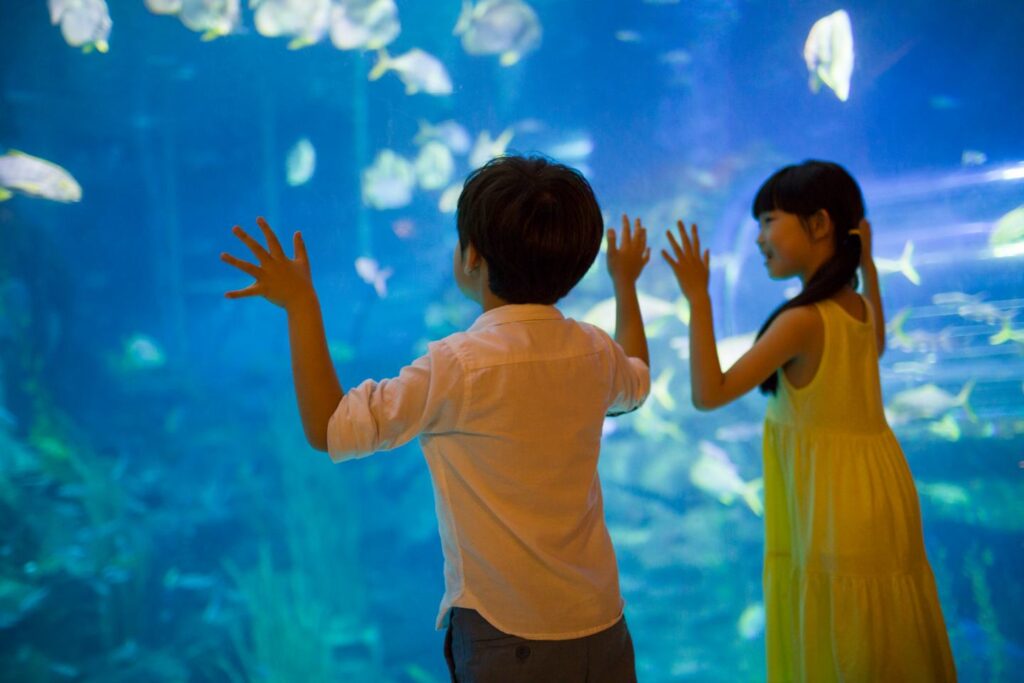 樂天水族館