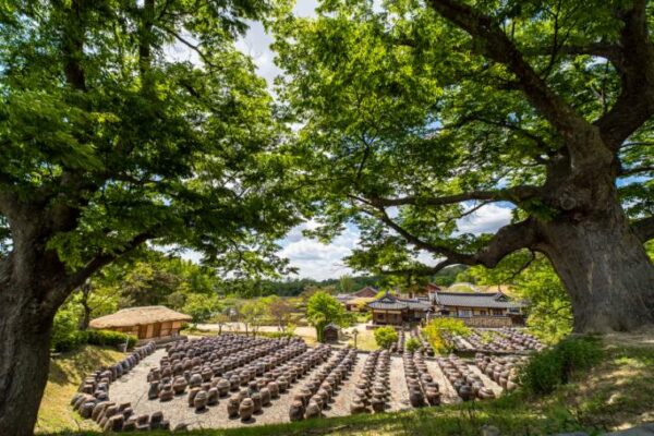 晨靜樹木園