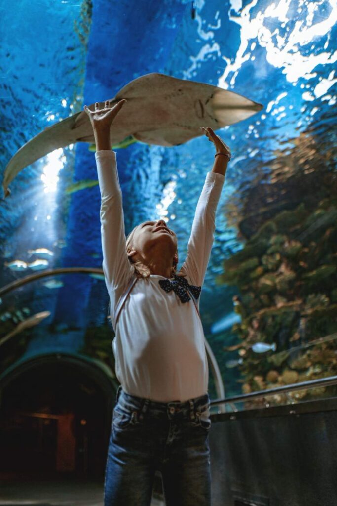 樂天水族館