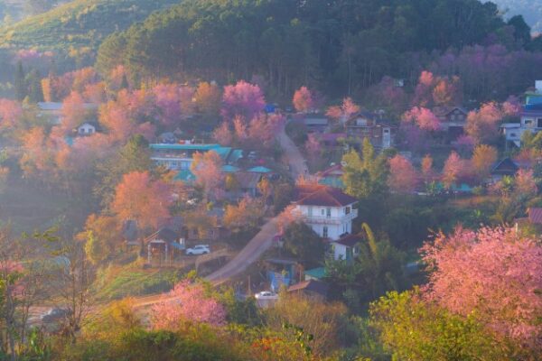 松月洞童話村