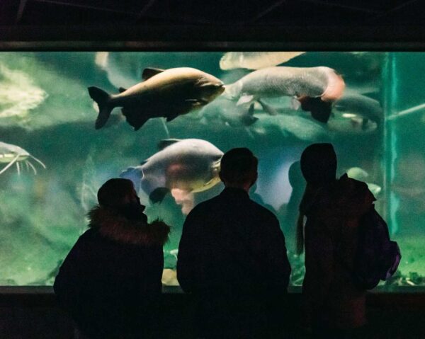 首爾水族館