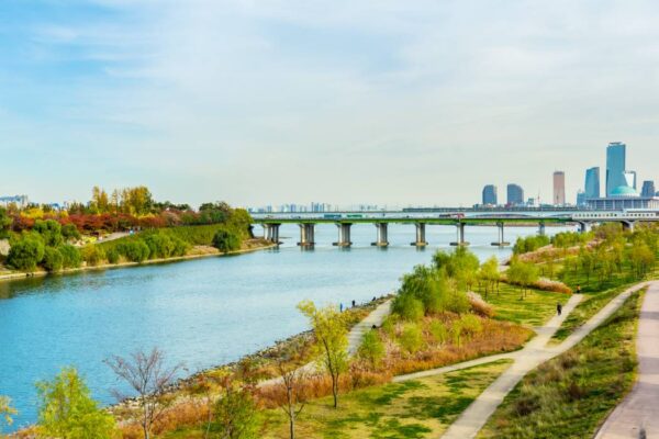 汝矣島漢江公園