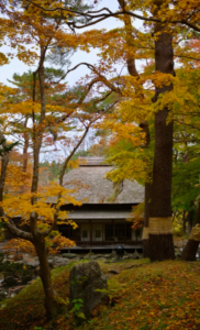 北海道賞楓景點：函館香雪園