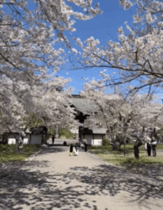 北海道夏天4月