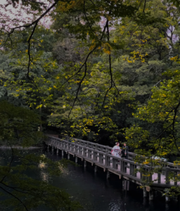 東京吉祥寺