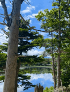 北海道暑假親子景點1. 知床五湖