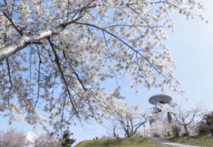 北海道夏天4月